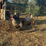 Tenuta Calitre 3*