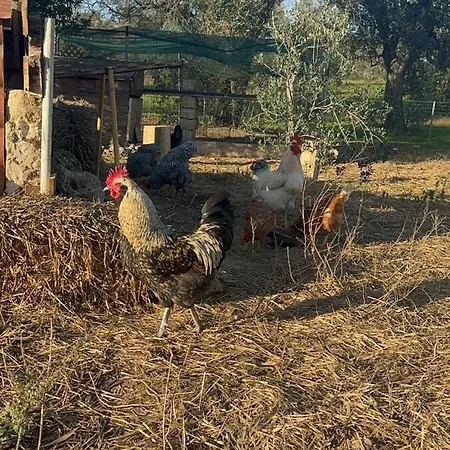 Tenuta Calitre 3*