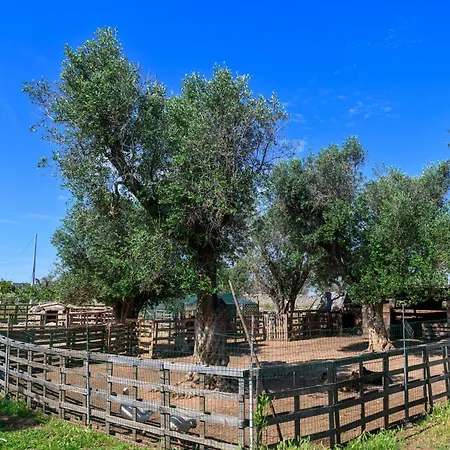 Tenuta Calitre Oda ve Kahvaltı